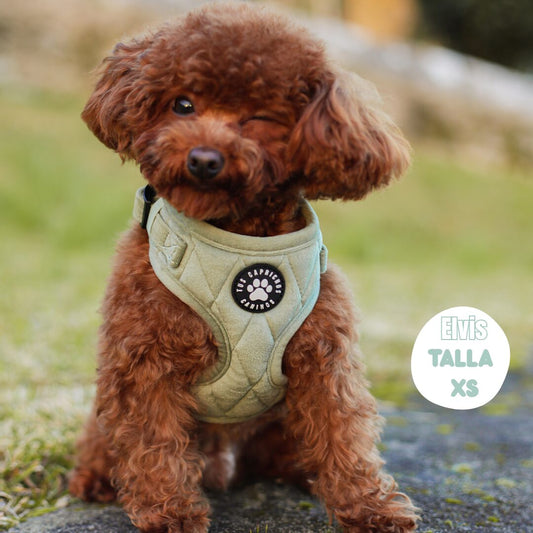 Elvis Talla XS
