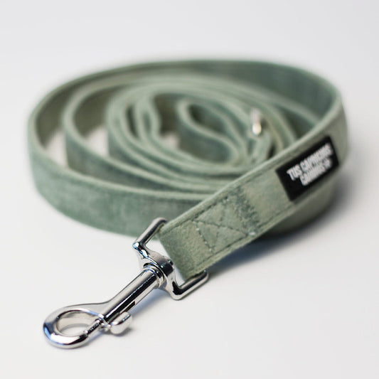 Correa Matcha Velvet 2
