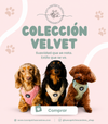 Colección Velvet