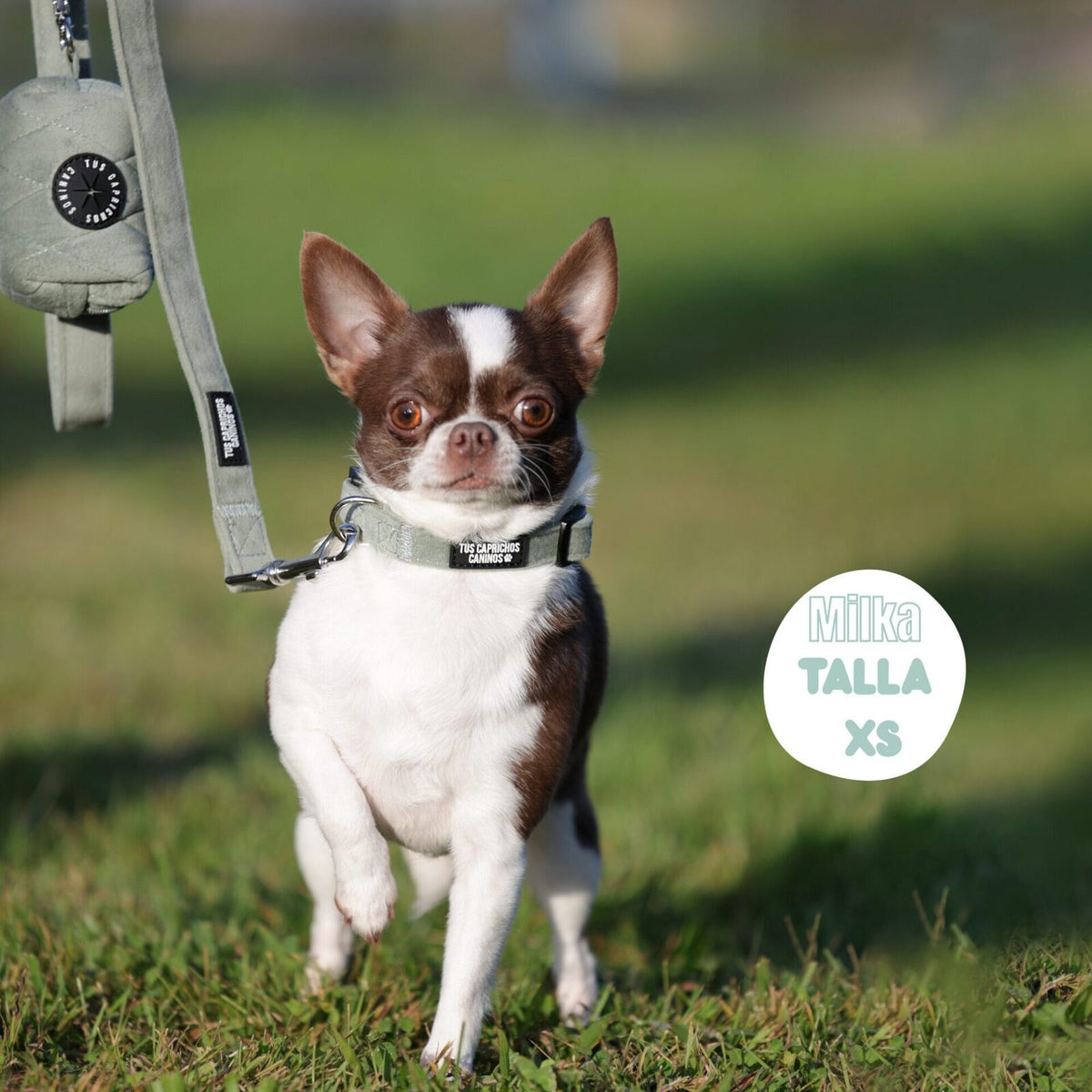 Milka talla XS collar