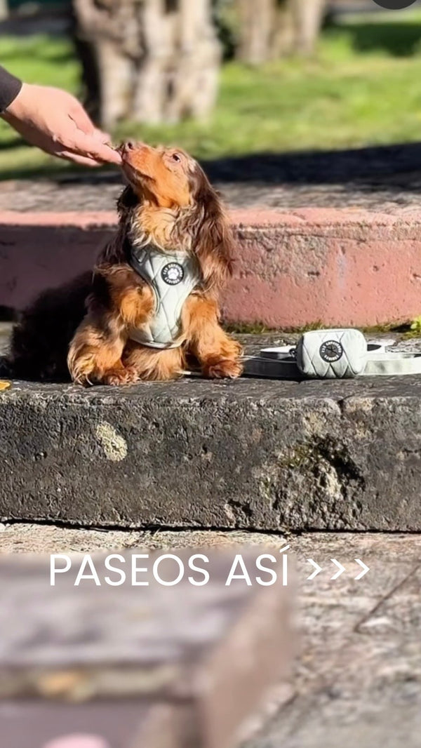 Instagram Media