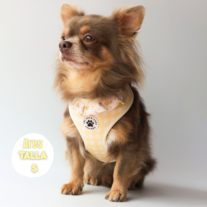 Arnés Vichy Bloom
