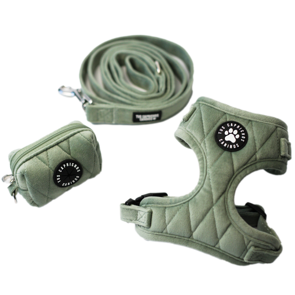 Pack arnés + correa + porta bolsas Matcha Velvet
