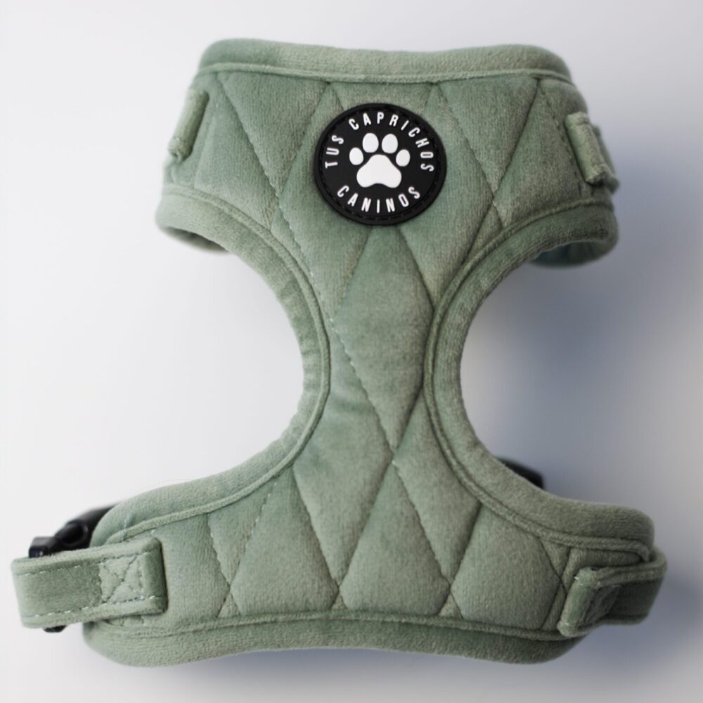 Arnés Matcha Velvet