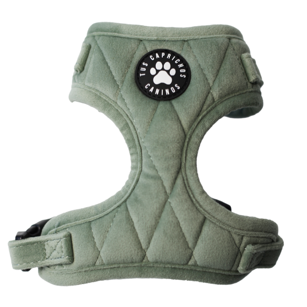 Arnés Matcha Velvet