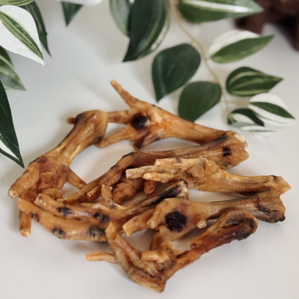 Patas de pollo naturales deshidratadas